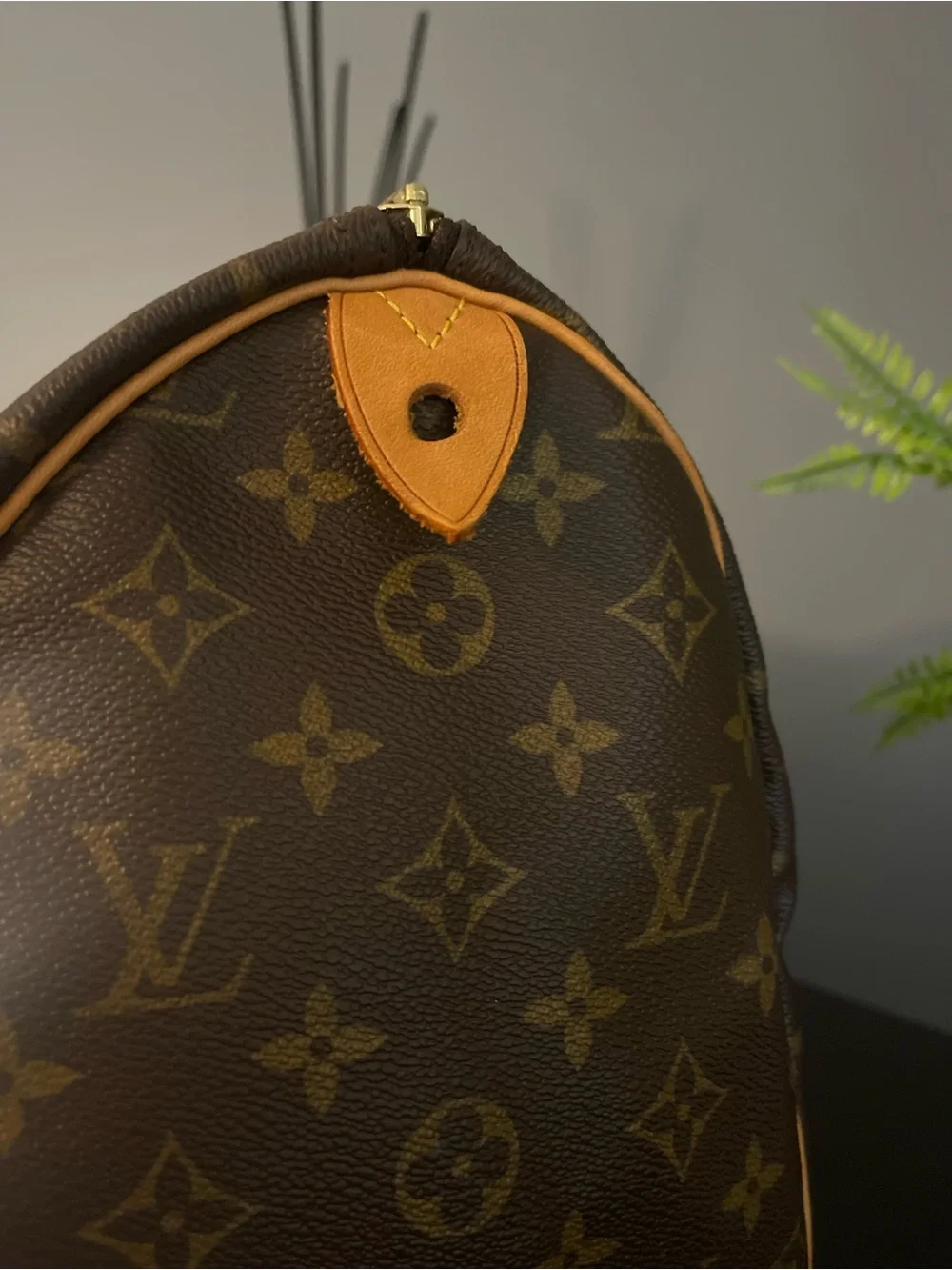 Louis Vuitton iconic louis